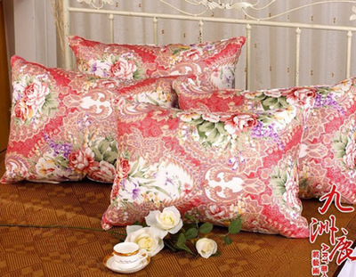 熱門選購！四款保暖舒適的羽絨枕助你溫暖入眠